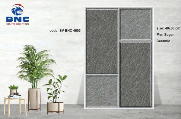 Gạch 40x60mm xương dày 12mm BNC 4603