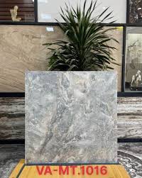 Gạch 100x100 Nhập Khẩu Ấn Độ MT1019
